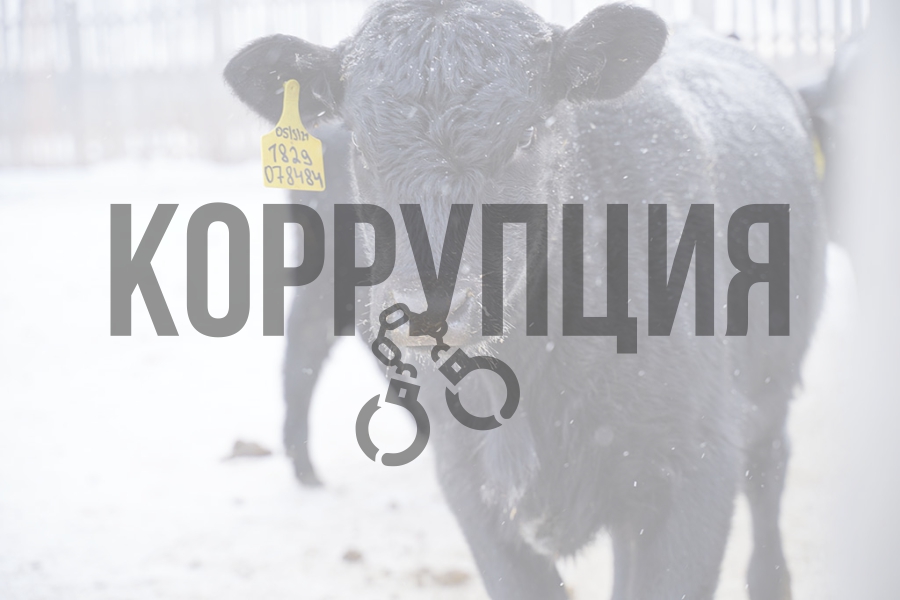 В махинациях с субсидиями обвиняют туркестанских ветеринаров