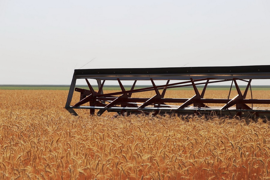 Закуп пшеницы по 85 тыс. тенге за тонну обсуждают в Казахстане