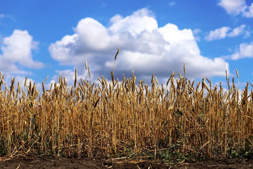 Прогноз погоды на осень выпустил Казгидромет