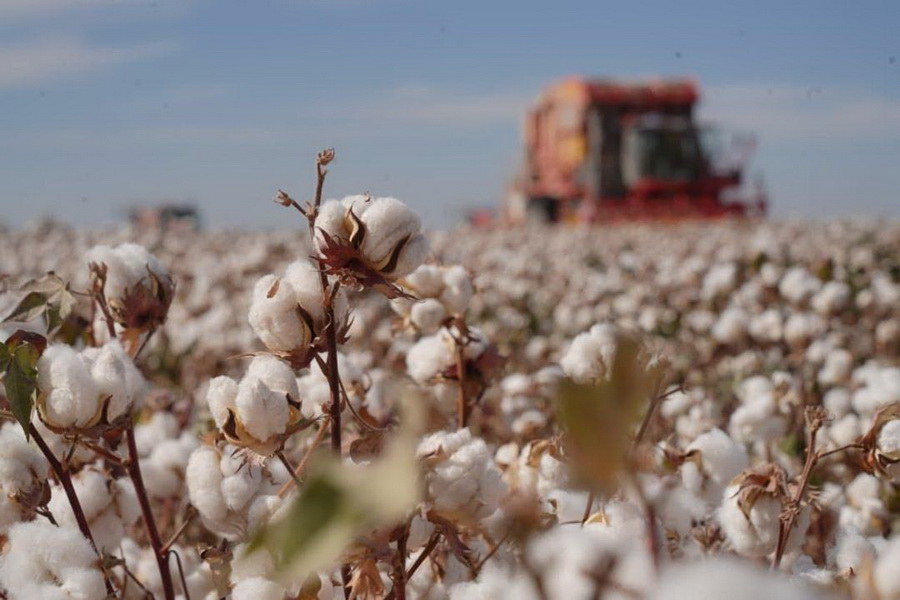 1522ceab035b31083fca2cd3ae6ebfbe