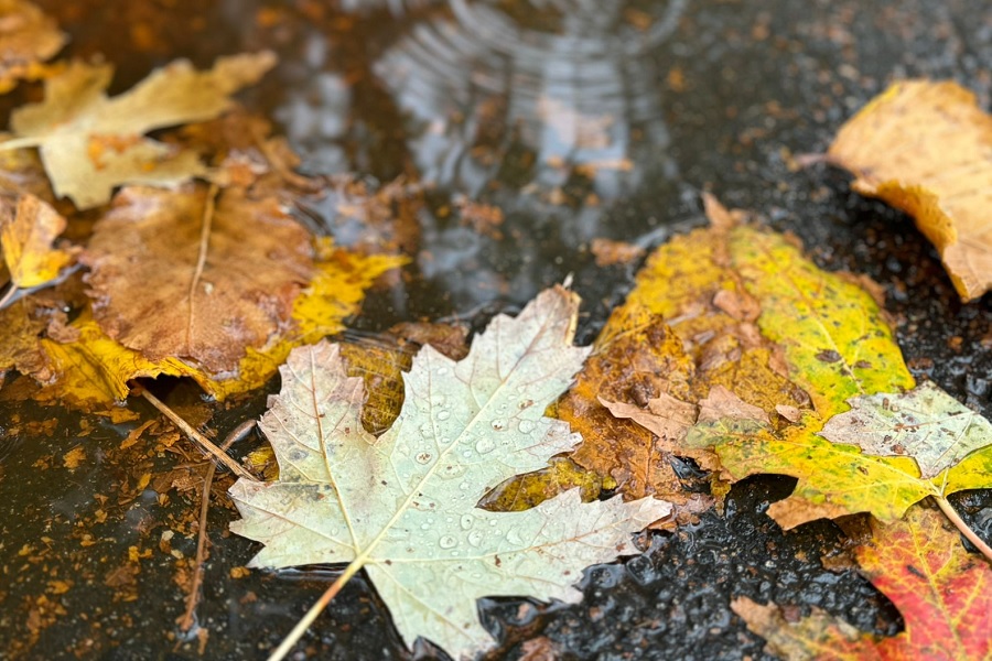 Прогноз погоды на октябрь дали синоптики Казахстана