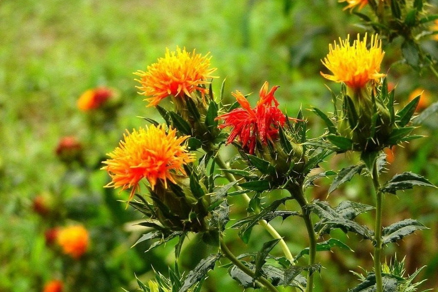 671cd859a9ec29b46ed83fe23a61c27d